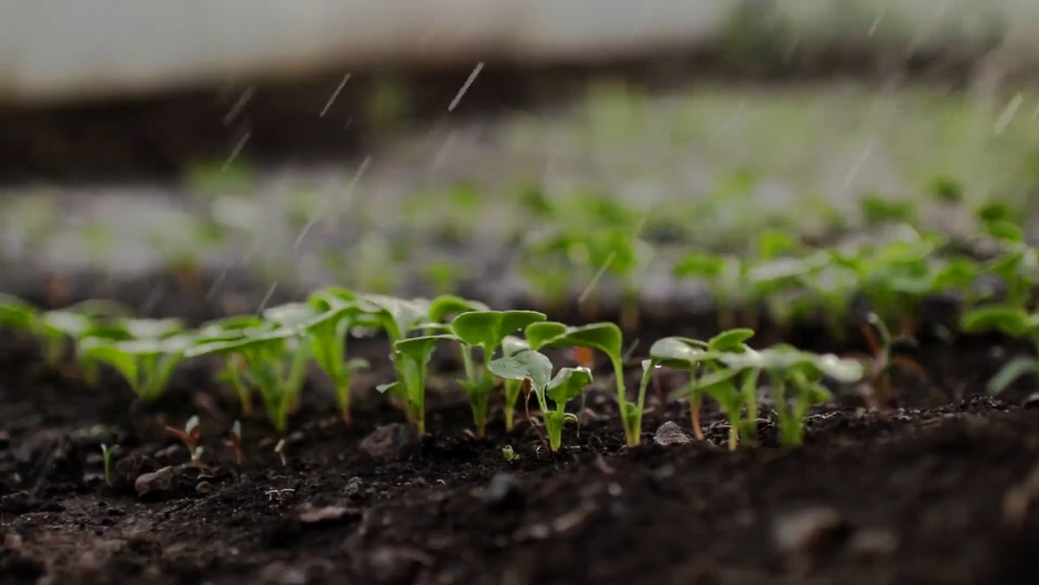 Smart Kheti - A Film by KRIBHCO on Modern Farming for Farmer Welfare